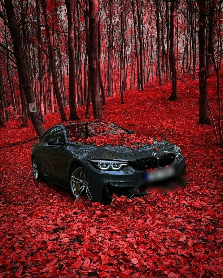 I love you BMW♥