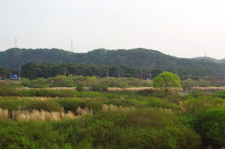Asia