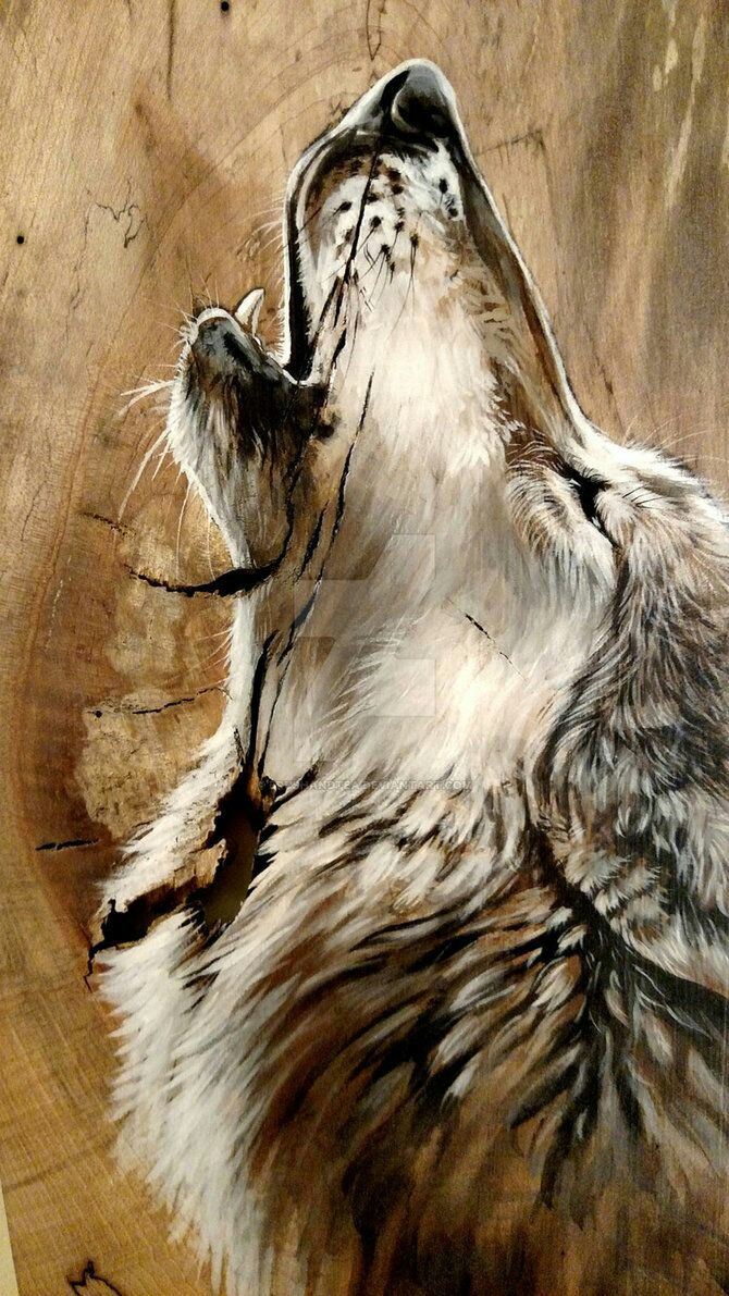wolf