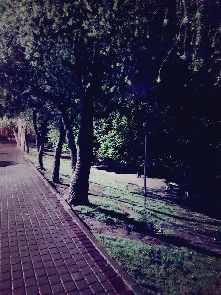 pathway