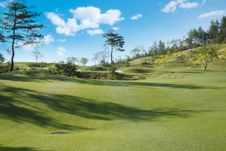 Golf Course