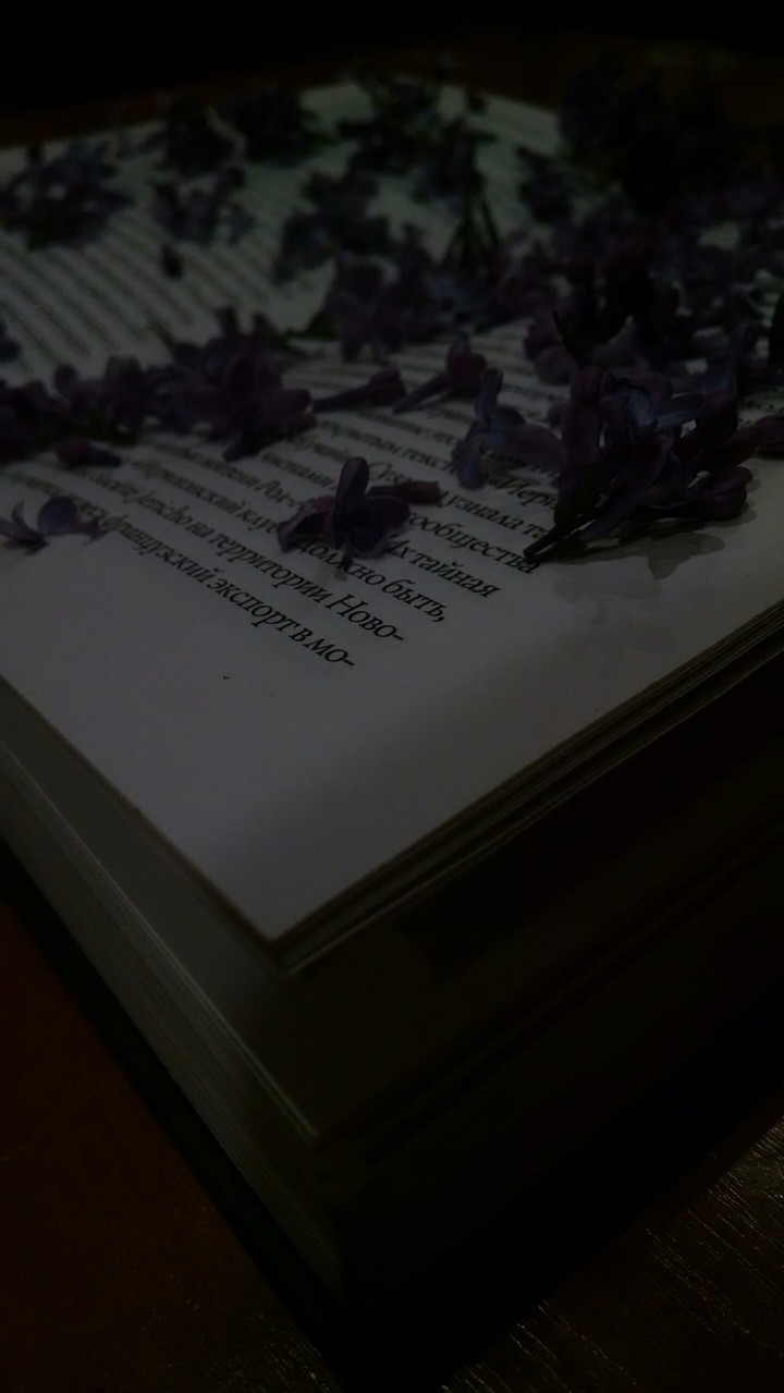 книга