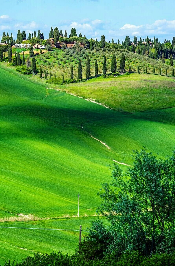 Beautiful green nature