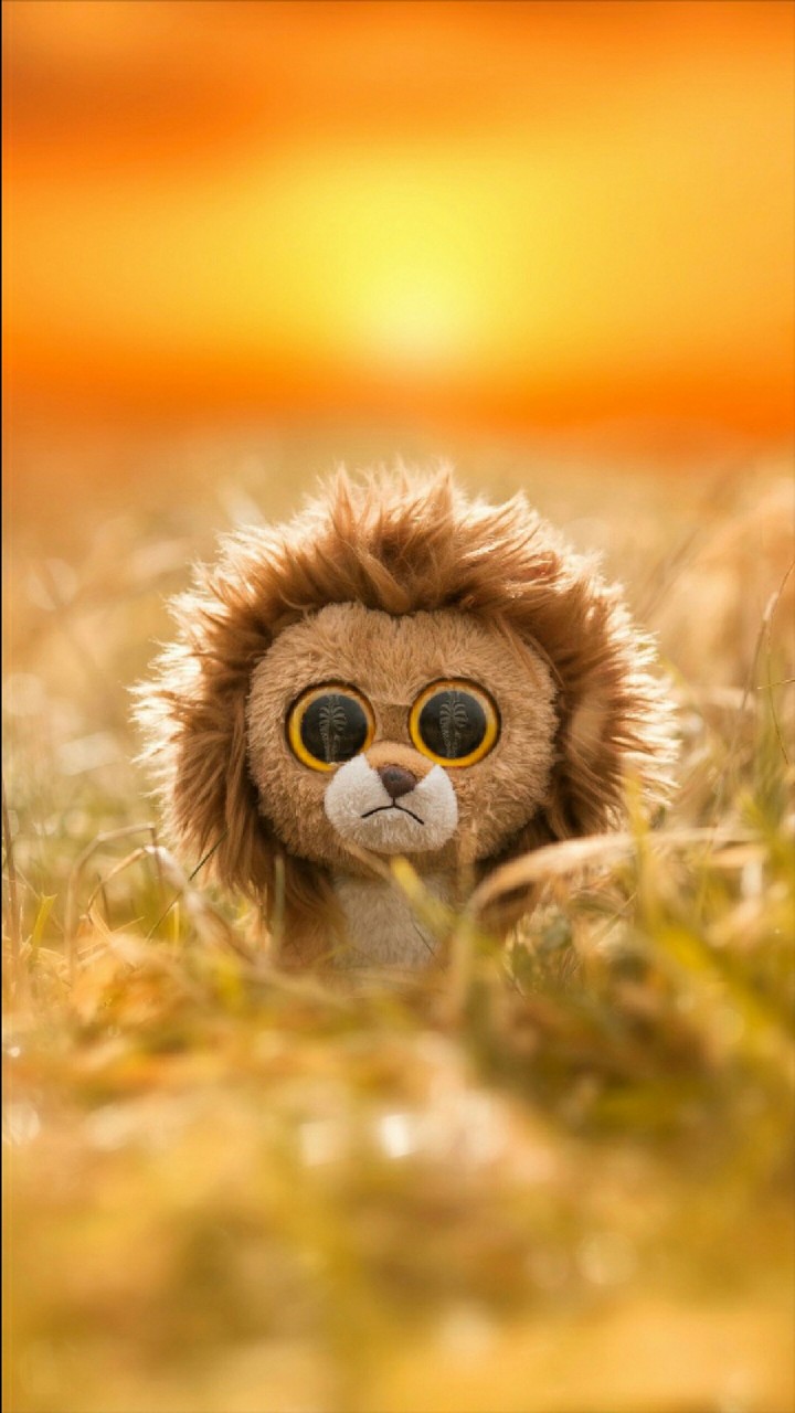 sad lion