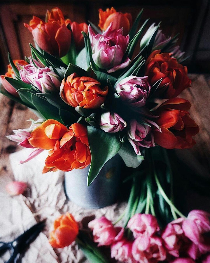 Happy Sunday to You, Dear Friends ❤
