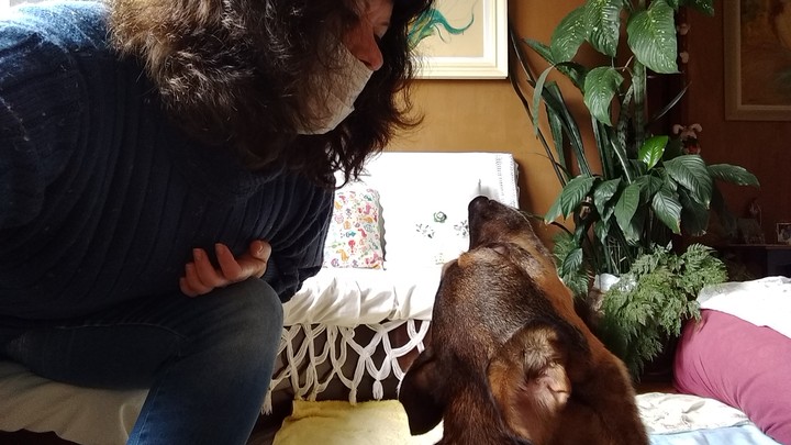 amor incondicional