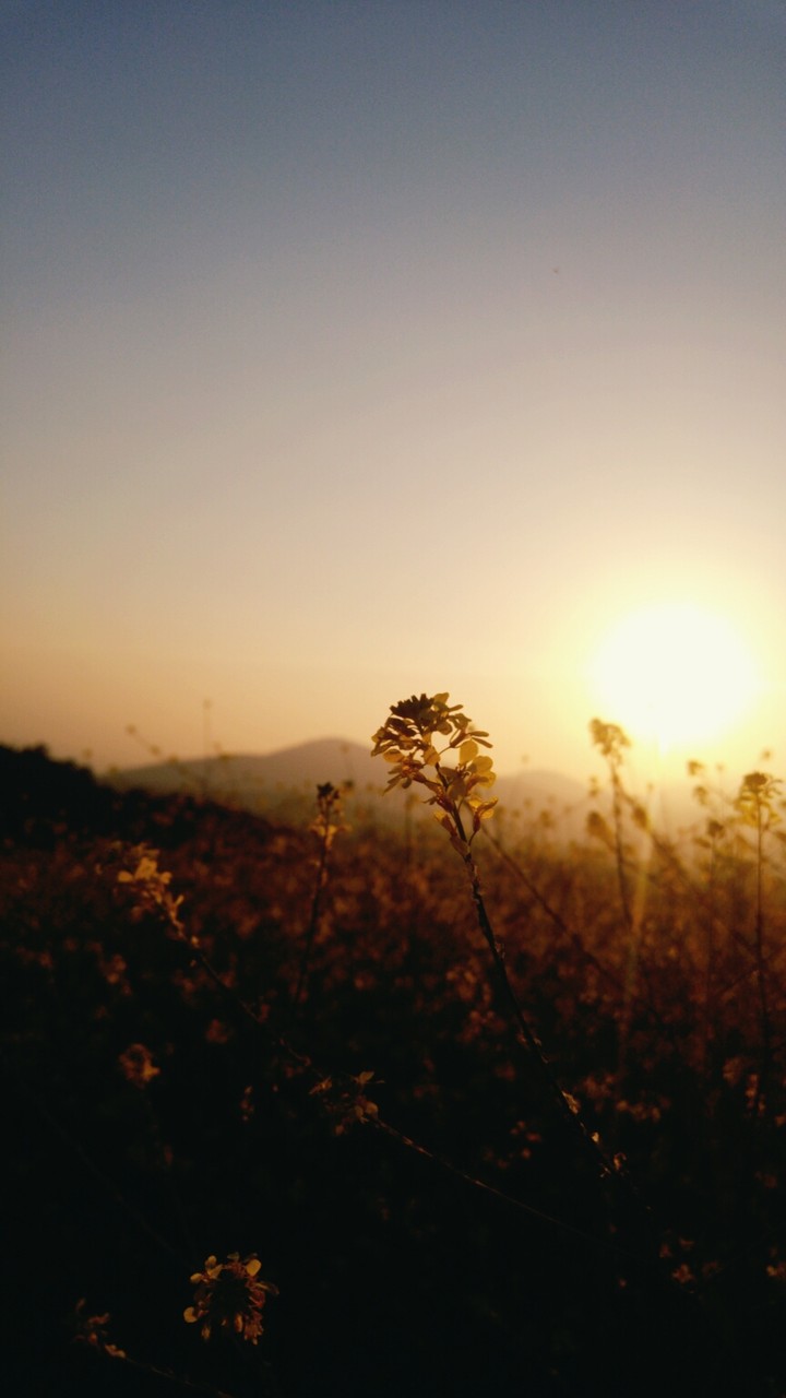 Nature