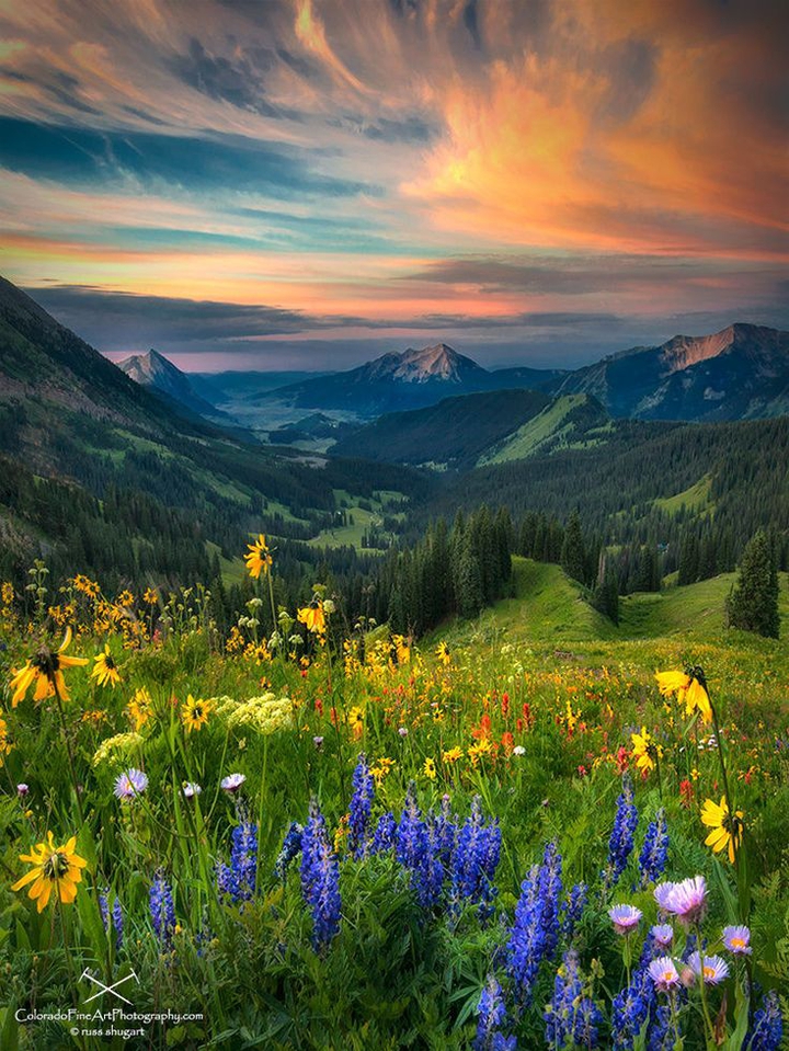 Nature