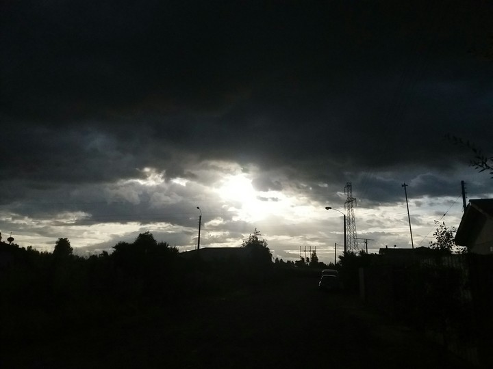 Sun Rays