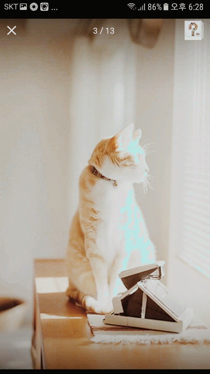넘 귀여워