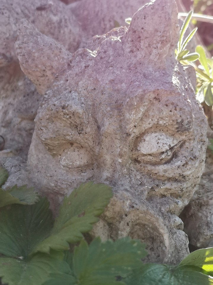 schlafender Drache, sleeping Dragon