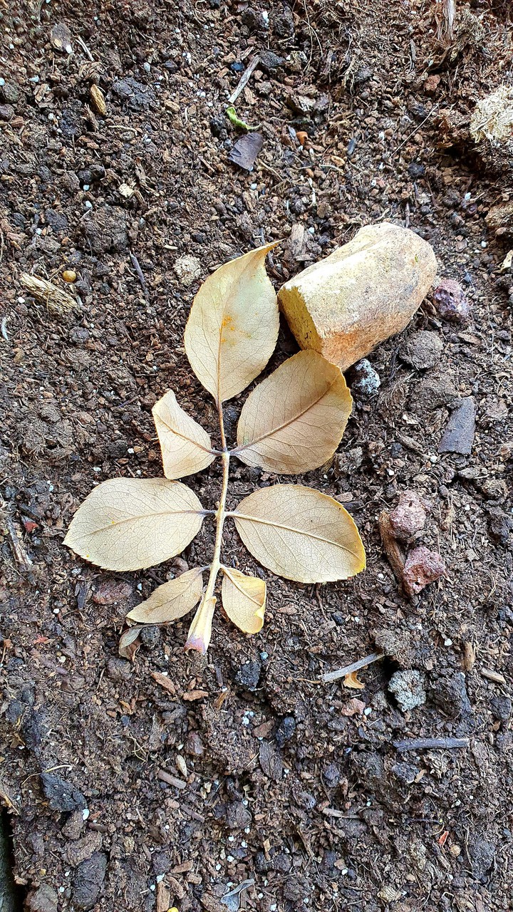 ?