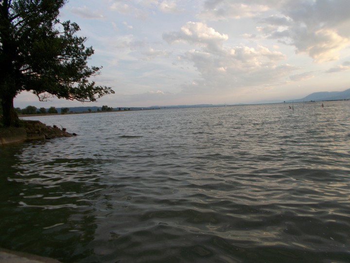 Water