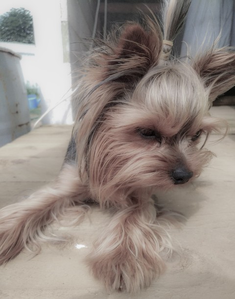 Hot day