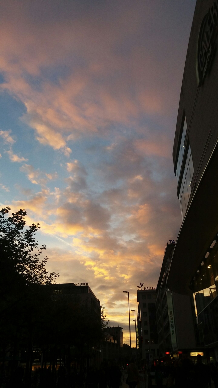 Skyline in a Town