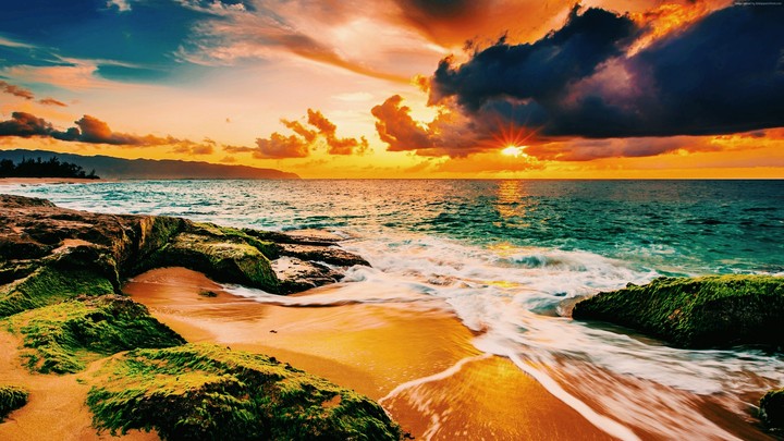 The Beach
