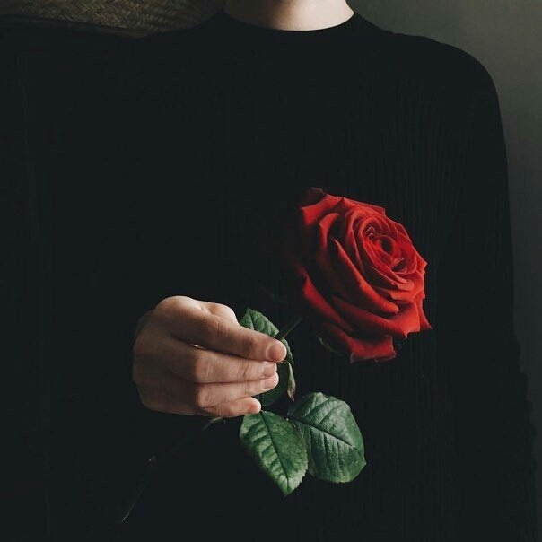 rose