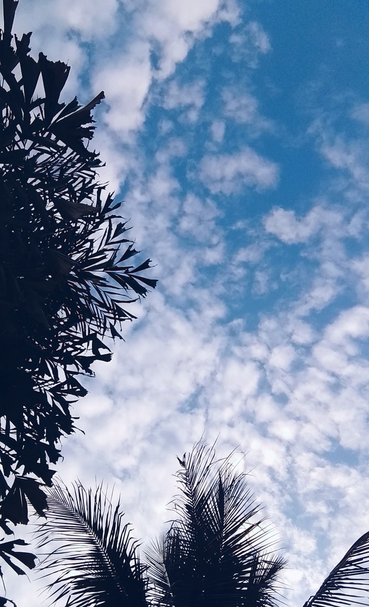 céu..