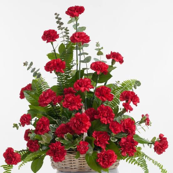 red flowers
