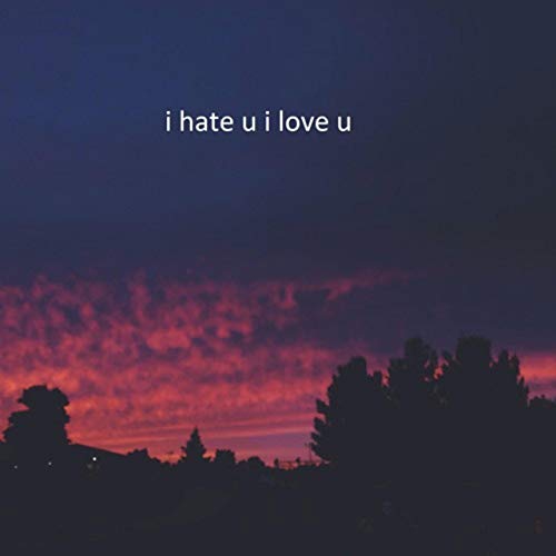 i hate you i love you