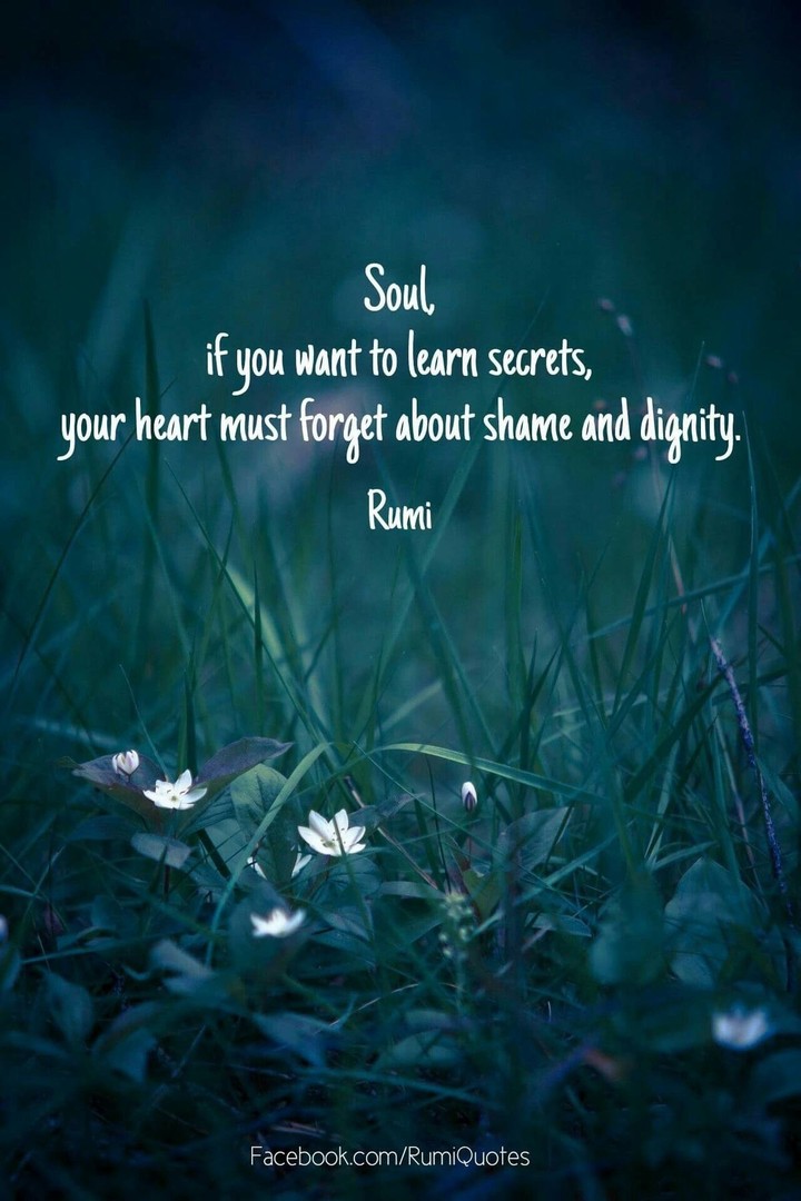 Rumi