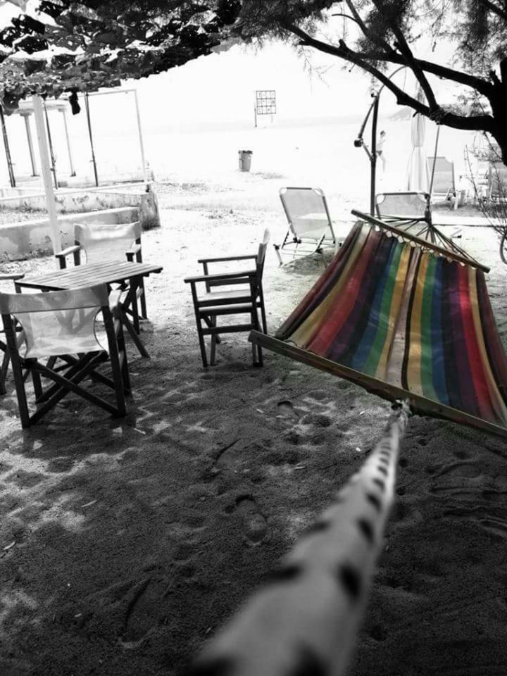 the hammock looks very tempting..