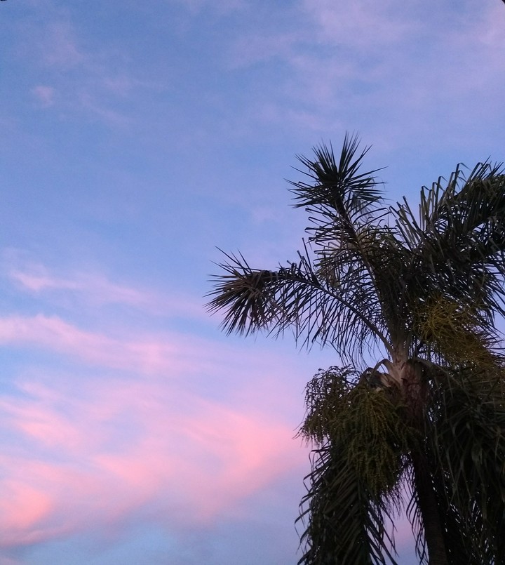 Sky