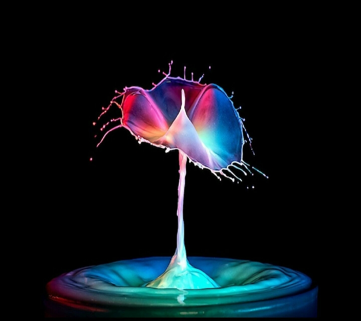 Bunt