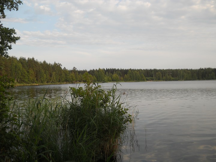 белое озеро
