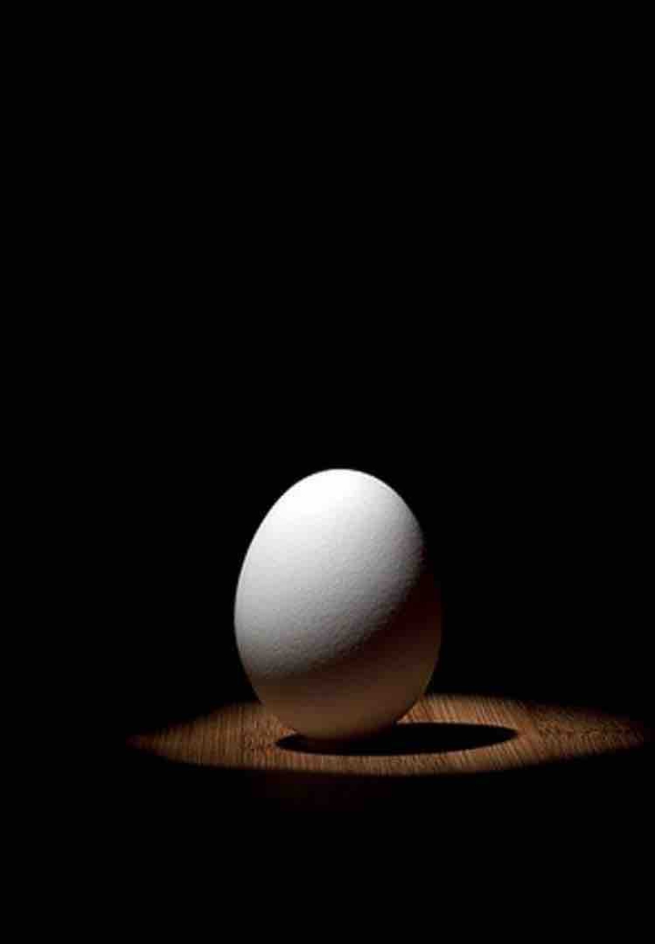 egg