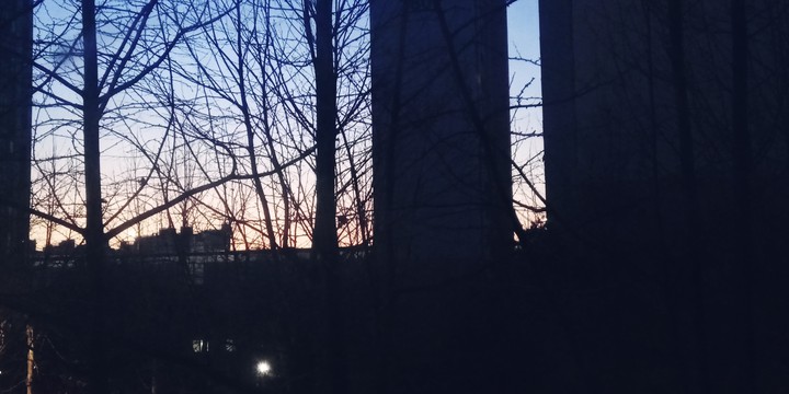 그라데이션