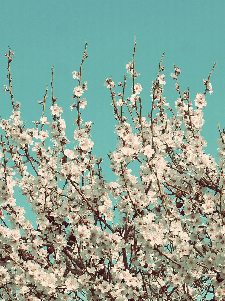 ~