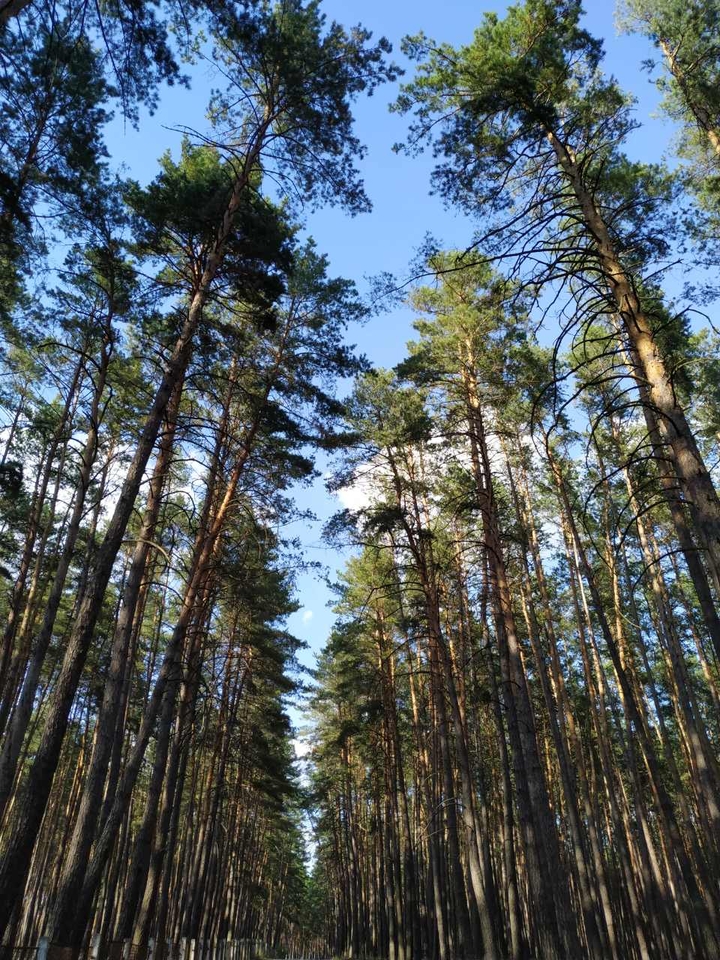 Природа прекрасна