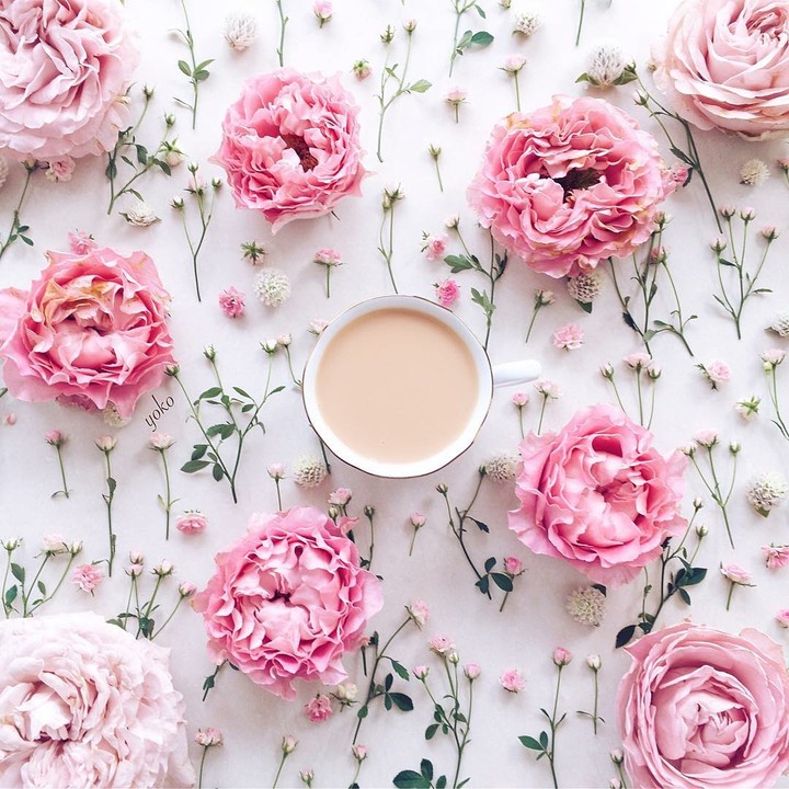 flowers