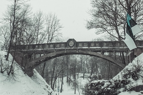 snow, freezing wallpapers