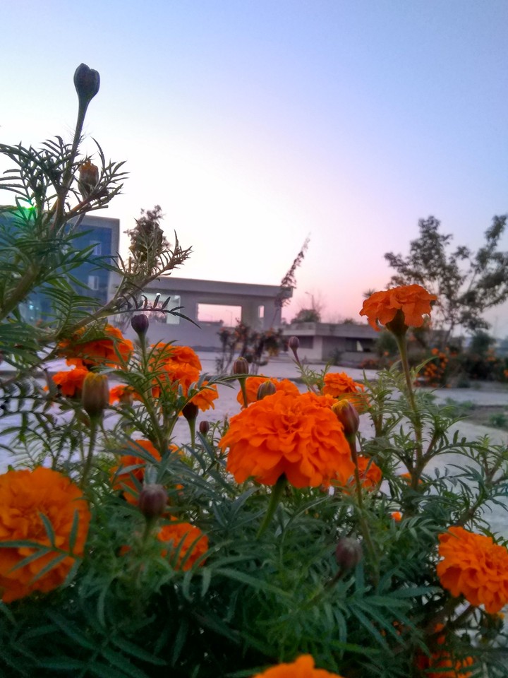 Nature without makeup