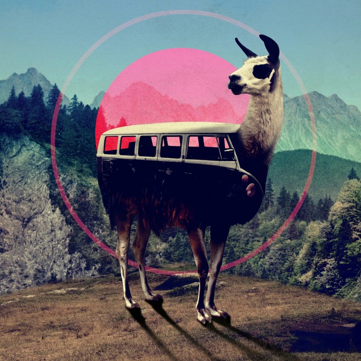 Lama