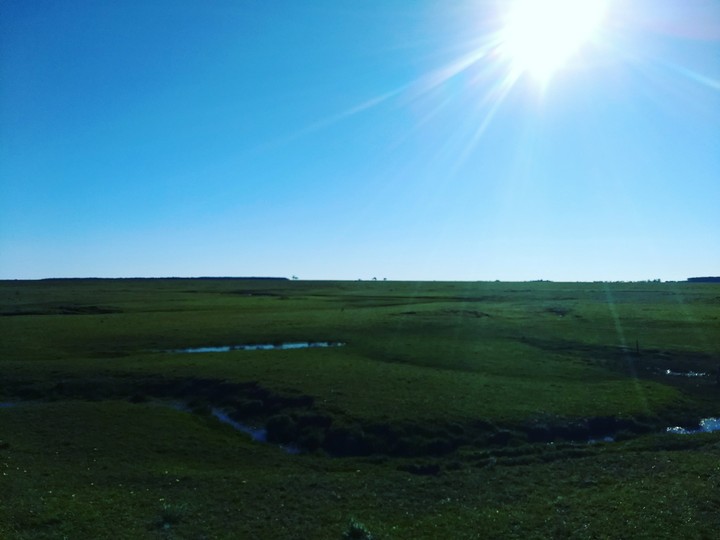 campo