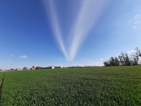 field