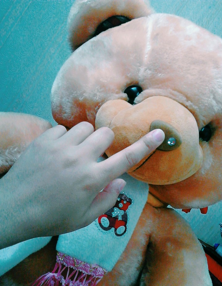 İ'm bear