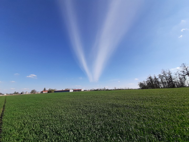 field
