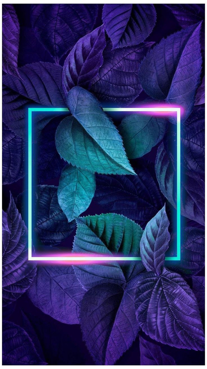 Full display wallpaper