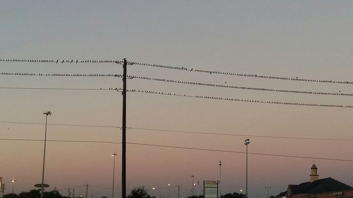 Nature n tech;)