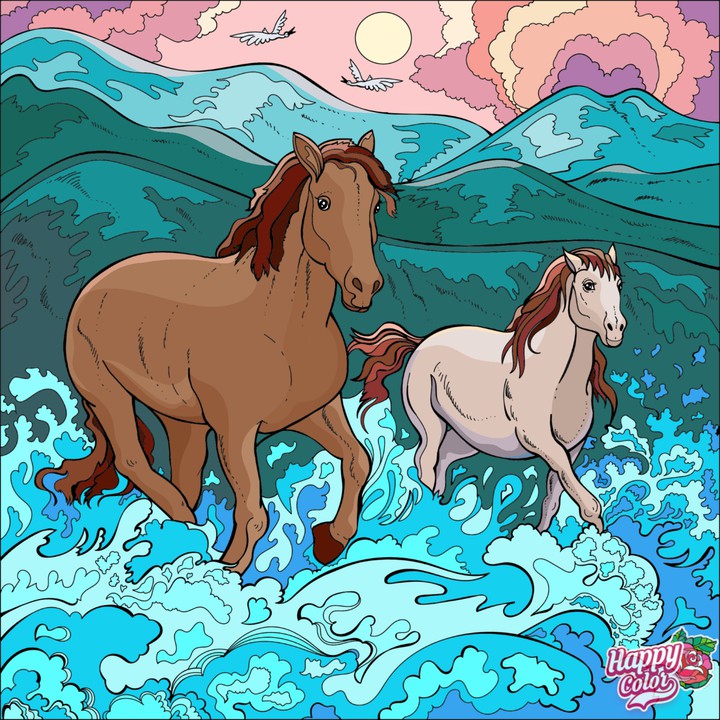 Cavalos