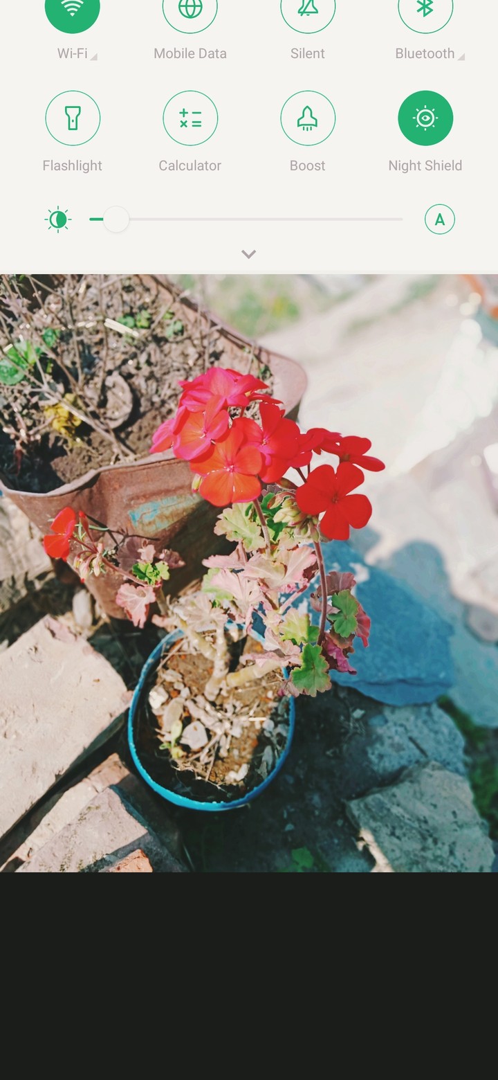 flower