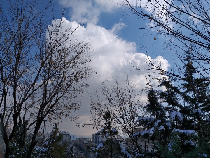 winter