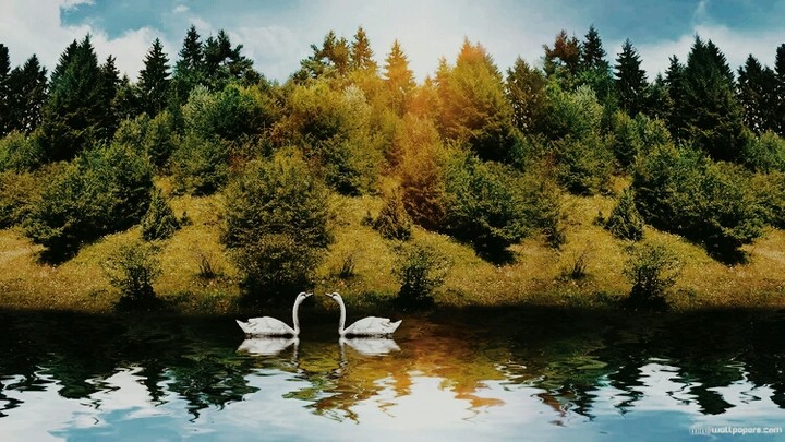 Nature
