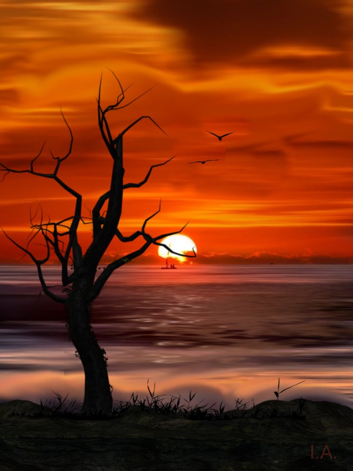 wallpaper...