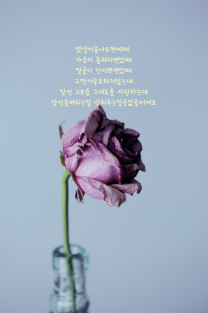 아리