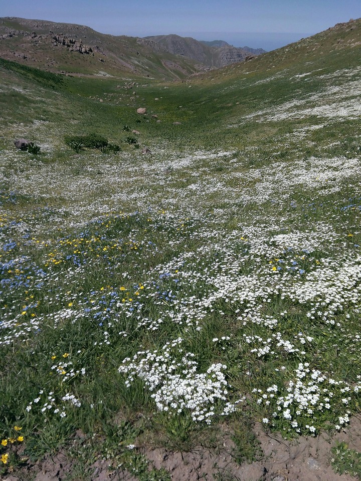 بهشت دیگه